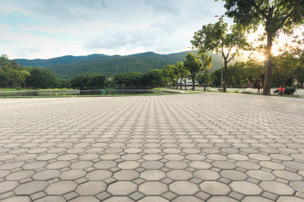 Best Driveway Resurfacing Pavers  in Whitmire, SC